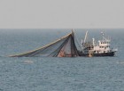 Ordulu Balıkçılar Hamsi Avı İçin Gürcistan’da Avlanmaya Devam Ediyor.
