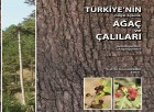 Türkiye’nin Ağaç ve Çalıları Kitabı Online Ve Ücretsiz Olarak Yayında