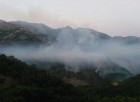Tunceli’deki Yangından Ötürü Dağ Keçileri Bölgeden Çıkıyor
