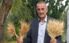 Prof. Dr. Abdullah Çoban 5 bin yıllık yerli tohumu kendi üretti