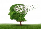 İlaç Devi Pfizer, Alzheimer ve Parkinson Hastalıkları İçin Yaptığı Araştırmaları Noktalama Kararı Aldı