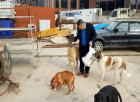 Bursa’da ‘Hayvansever Savcı’ Yılın İlk Gününde Sokak Hayvanlarını Besledi