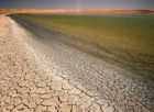 IPCC: “Arazi Tahribatına Son Vermeden İklim Krizini Önleyemeyiz”