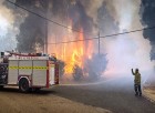 Avustralya tarihinin en büyük orman yangınında 480 milyon hayvanın can verdiği tahmin ediliyor