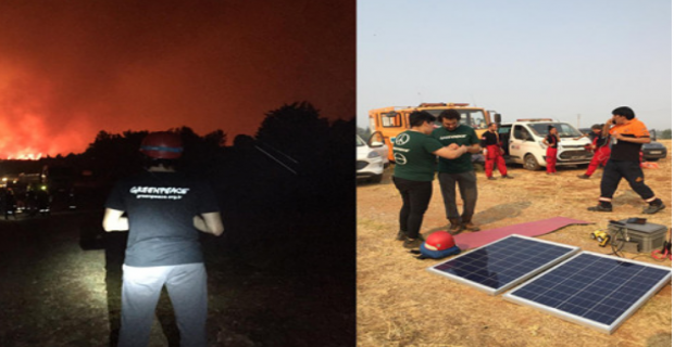 ‘Greenpeace Türkiye’den Orman Yangınlarına Yönelik Bilgilendirme