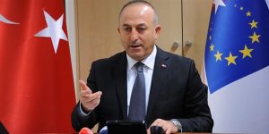 AB Bakanı Bozkır ve Dışişleri Bakanı Çavuşoğlu açıklama yaptı