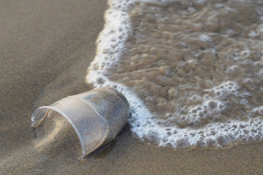 AP, Tek Kullanımlık Plastikleri Yasakladı