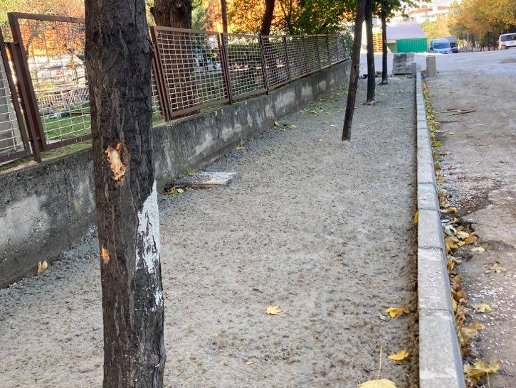 Belediyeden ağaç köklerine beton