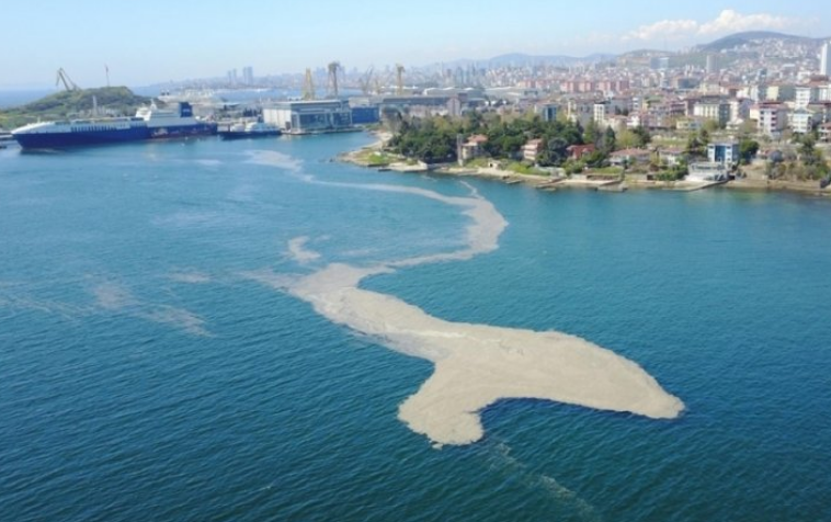 TBMM’ye, Marmara Denizi’ni kurtaracak iki ayrı rapor sunuldu